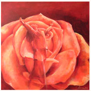 Website Caroline van de Vate